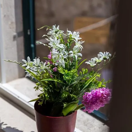 Stradun Palace - Old Town Dubrovnik