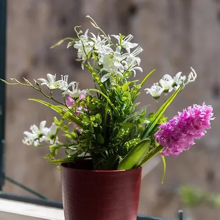 Apartman Stradun Palace - Old Town *